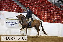 14buck_5062 proof