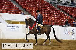 14buck_5064 proof