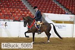 14buck_5065 proof
