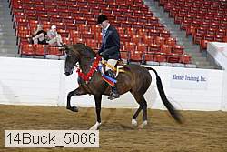 14buck_5066 proof