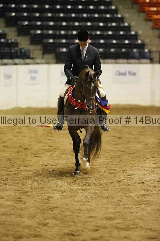 Proof 14buck_5067