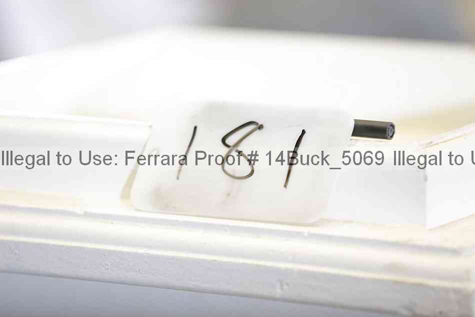 Proof 14buck_5069