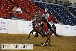 14buck_5070 proof