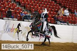 14buck_5071 proof