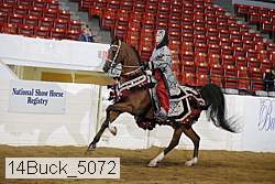 14buck_5072 proof