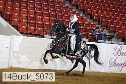 14buck_5073 proof