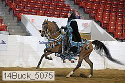 14buck_5075 proof