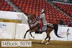 14buck_5076 proof