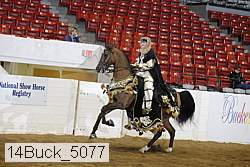 14buck_5077 proof