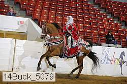 14buck_5079 proof