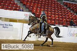 14buck_5080 proof