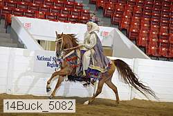 14buck_5082 proof
