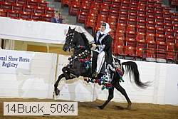 14buck_5084 proof