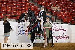 14buck_5088 proof