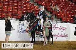 14buck_5089 proof