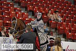 14buck_5090 proof
