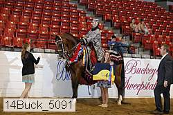 14buck_5091 proof