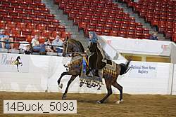 14buck_5093 proof