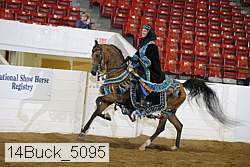 14buck_5095 proof