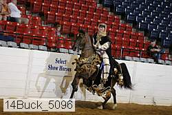 14buck_5096 proof