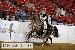 14buck_5097 proof