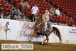 14buck_5099 proof