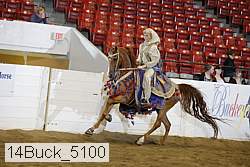 14buck_5100 proof