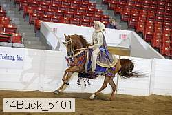 14buck_5101 proof