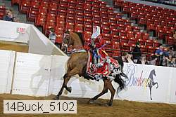 14buck_5102 proof