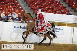 14buck_5103 proof