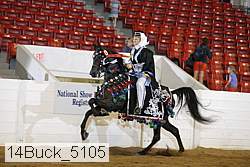 14buck_5105 proof