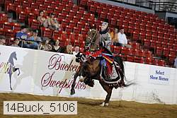 14buck_5106 proof