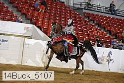 14buck_5107 proof