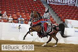 14buck_5108 proof