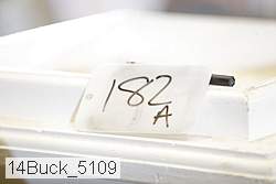 14buck_5109 proof