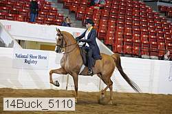 14buck_5110 proof