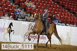 14buck_5111 proof