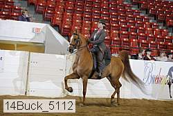 14buck_5112 proof