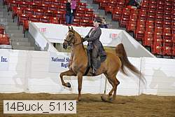 14buck_5113 proof