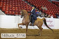 14buck_5114 proof
