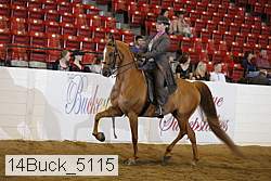 14buck_5115 proof