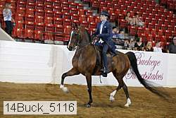 14buck_5116 proof