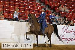 14buck_5117 proof