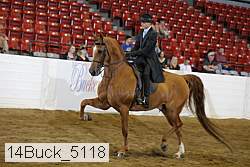 14buck_5118 proof