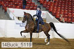 14buck_5119 proof