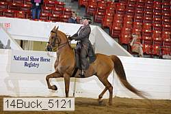 14buck_5121 proof