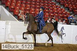 14buck_5123 proof