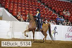 14buck_5134 proof