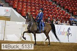 14buck_5137 proof
