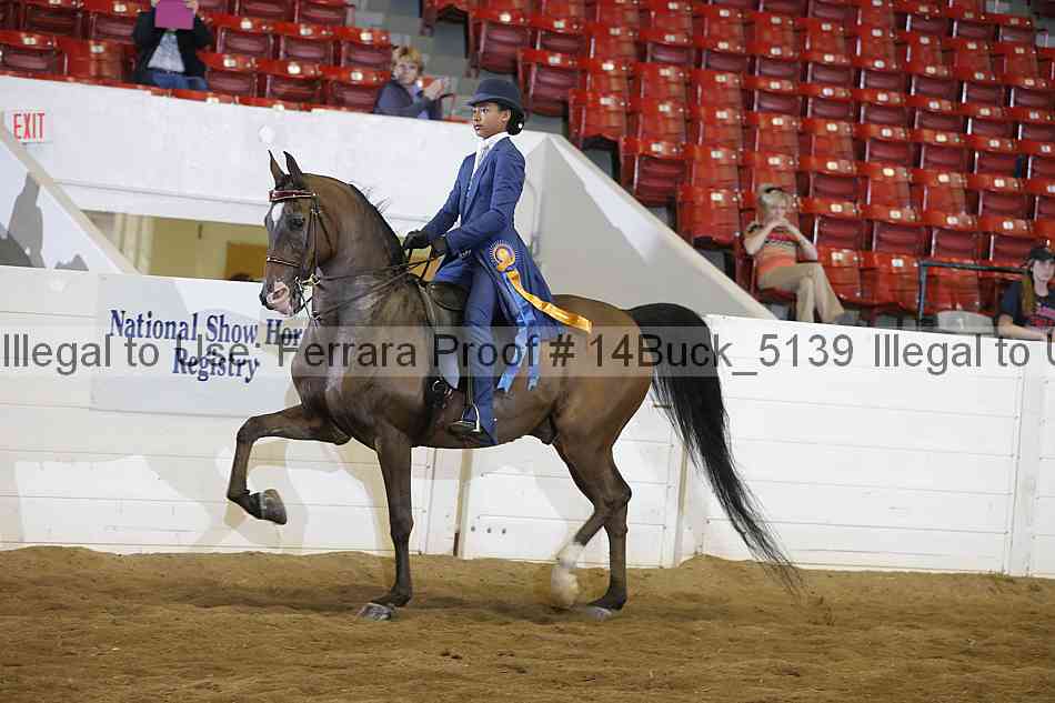 Proof 14buck_5139